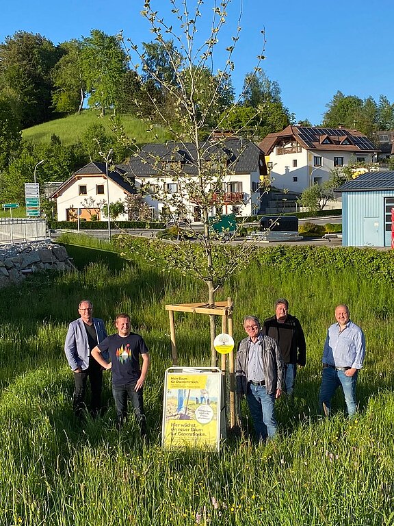 Generationenbaum.jpg  